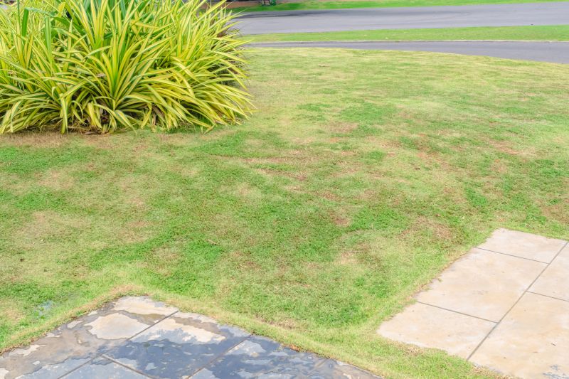 Lawn Health Assessment