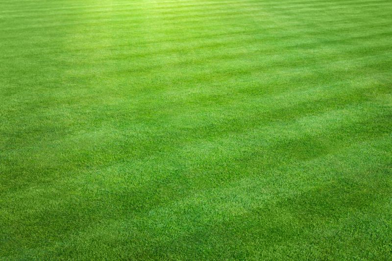 Well-Manicured Lawn