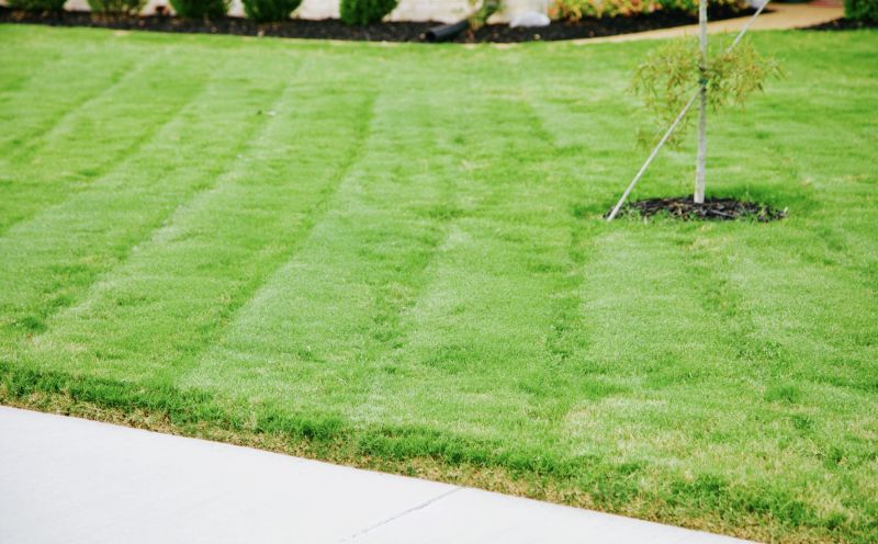 Healthy Lawn Tips