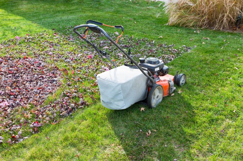 Holiday Season Lawn Care