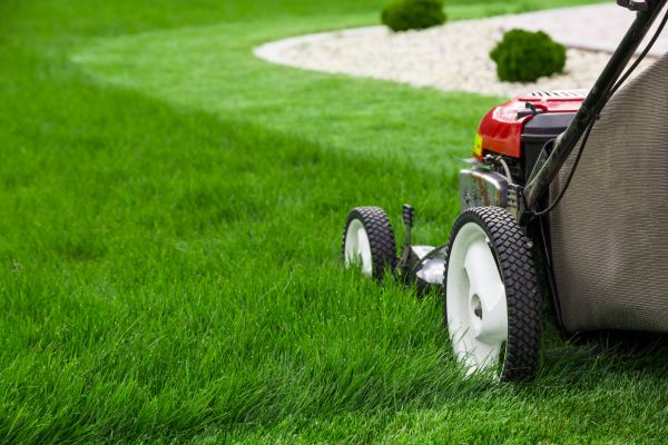 Residential Yard Mowing in Annapolis