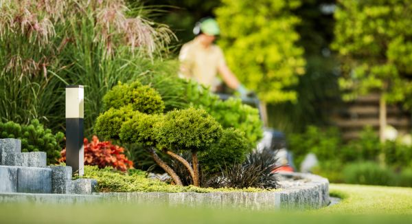 Residential Yard Maintenance in Annapolis